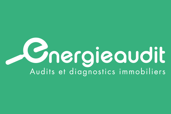 Energie Audit